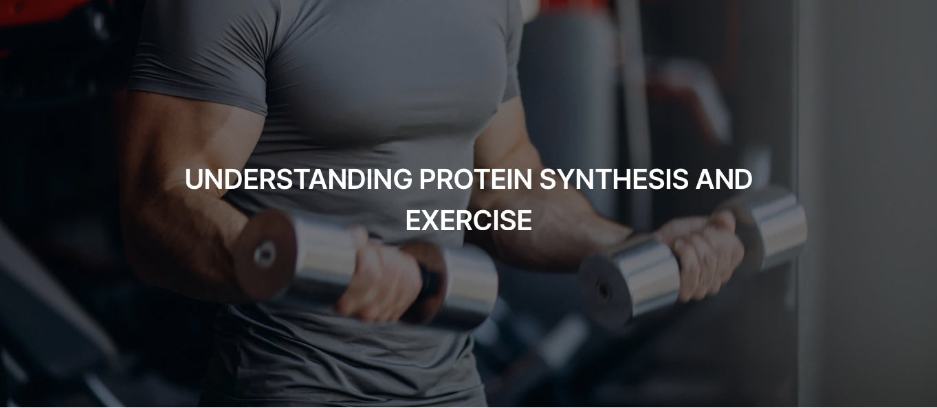 UNDERSTANDING PROTIEN SYNTHESIS AND EXERCISE