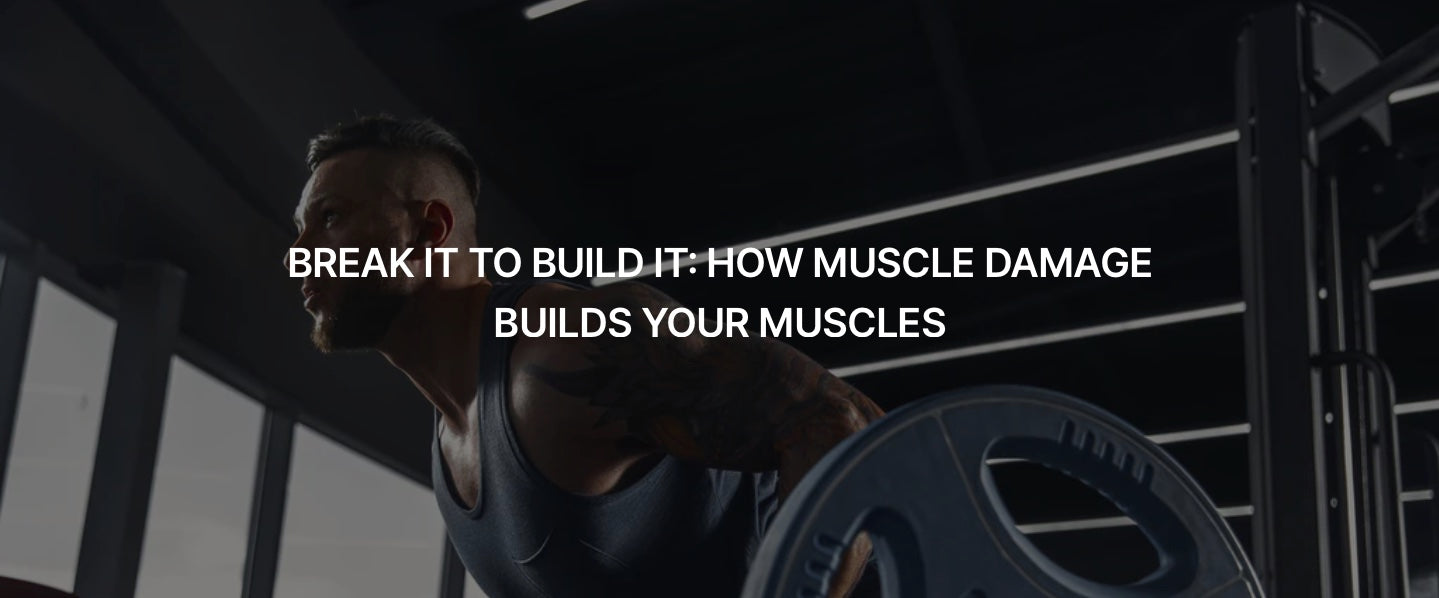 BREAK IT TO BUILD IT: HOW MUSCLE DAMAGE BUILDS YOUR MUSCLE